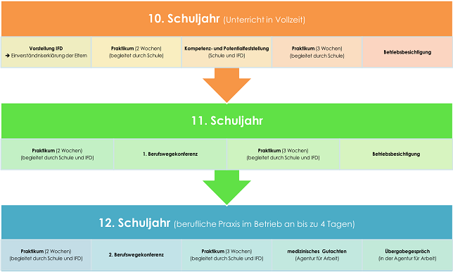 Schaubild der drei Schuljahre. Im zehnten werden Kompetenzen vom IFD festgestellt, zwei Praktika durchgeführt und Betriebe besichtigt. Im elften gibt es zwei weitere Praktike und die erste Berufswegekonferenz. Im zwölften besucht man an vier Tagen die Woche die berufliche Praxis im Betrieb, es gibt die zweite Berufswegekonferenz sowie einleitende Maßnahmen der Arbeitsagentur.